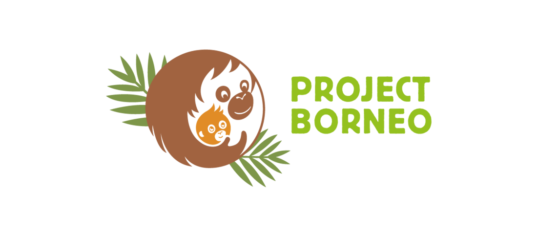 Project Borneo: Lighting Up Lives and Habitats with Every Candle Purchase