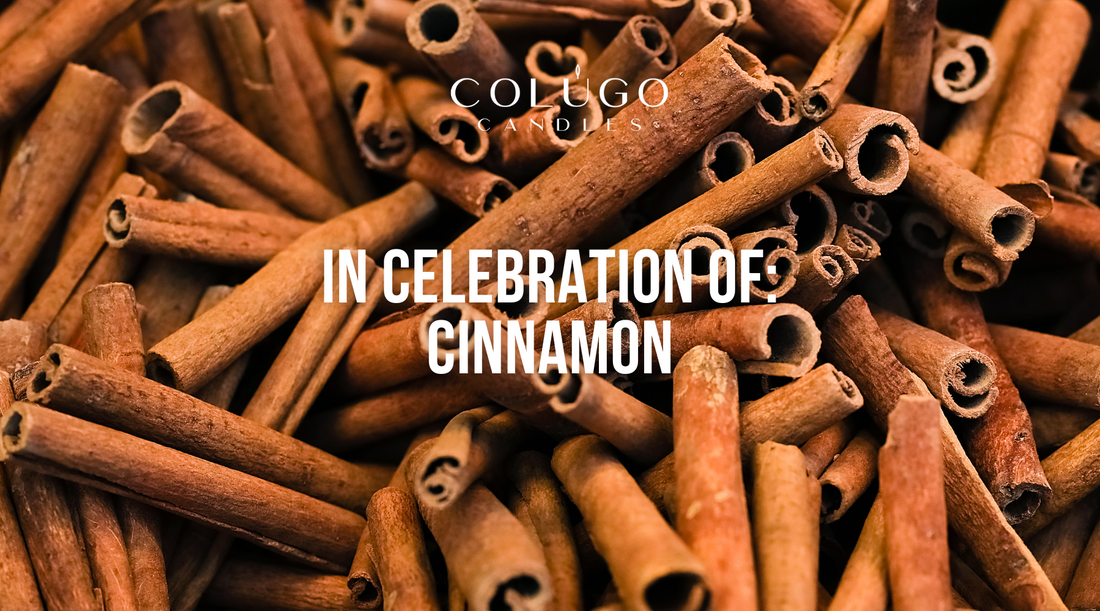 The Timeless Charm of Cinnamon