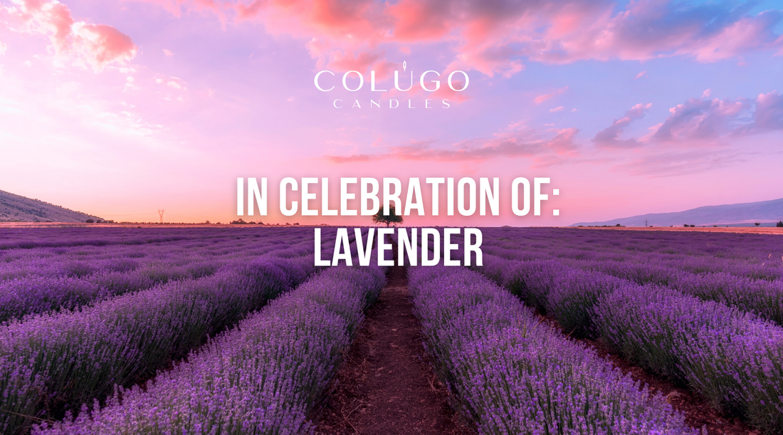 The Soothing Power of Lavender