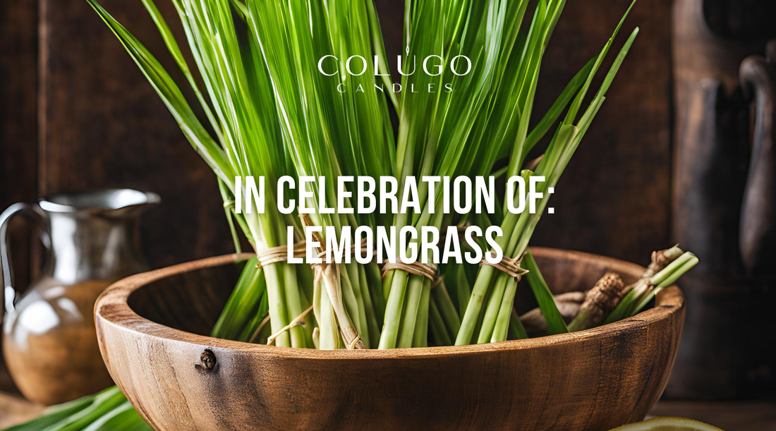 The freshness and warmth of Lemongrass