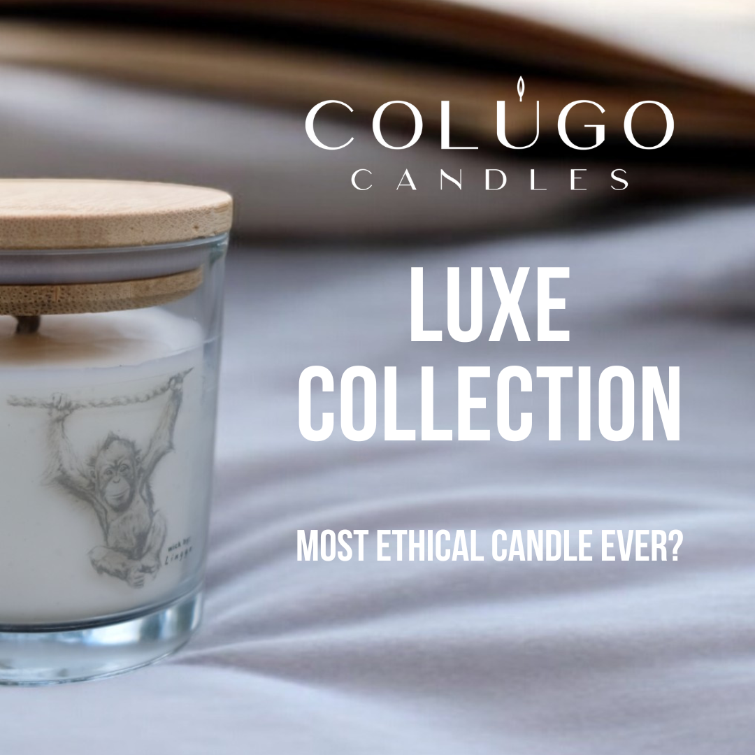 LUXE Collection by Colugo Candles