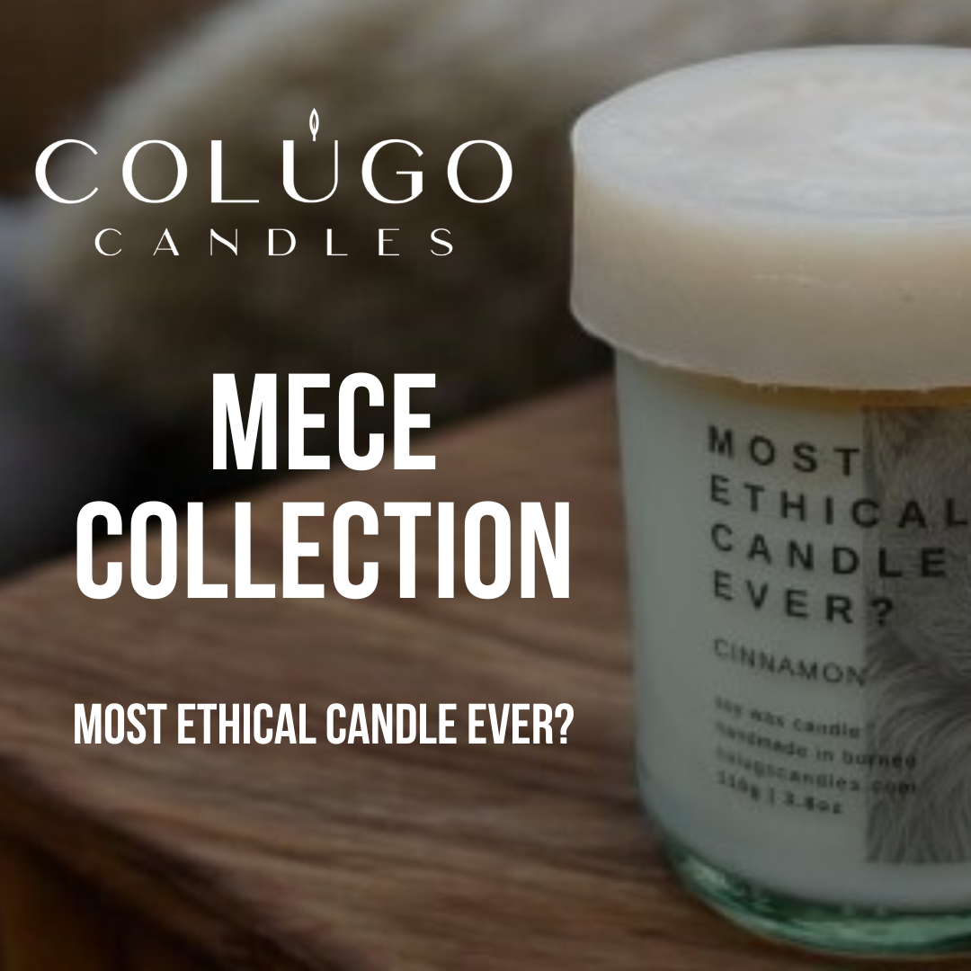 MECE - Most Ethical Candles Ever Collection by Colugo Candles