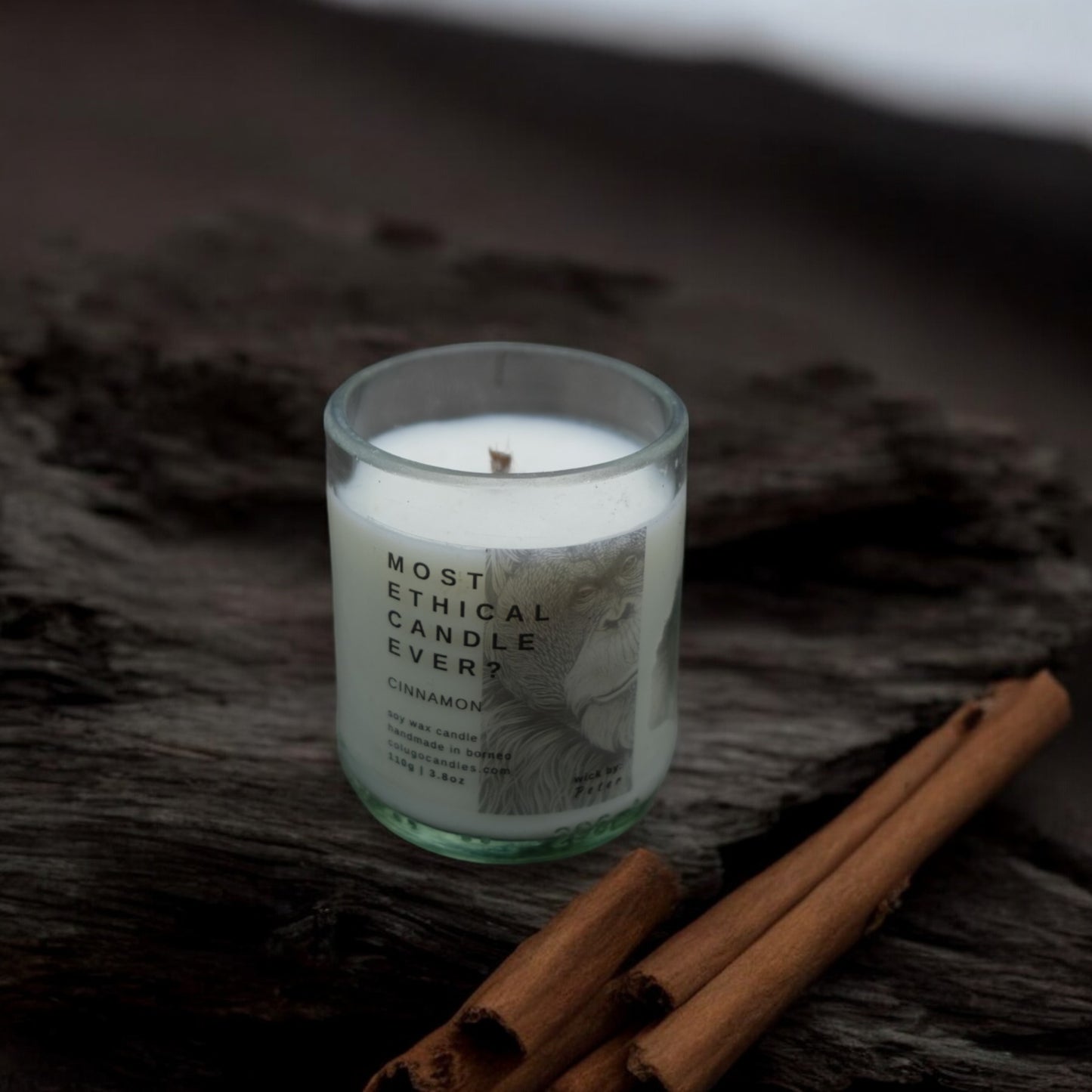 Most Ethical Candle Ever | Cinnamon by Colugo Candles