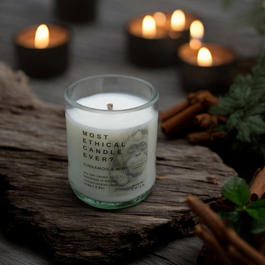 Most Ethical Candle Ever | Cinnamon & Mint by Colugo Candles