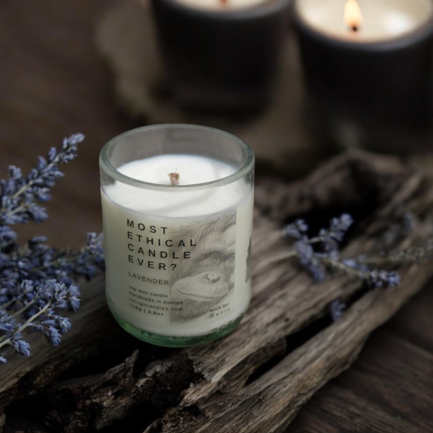 Most Ethical Candle Ever | Lavender by Colugo Candles