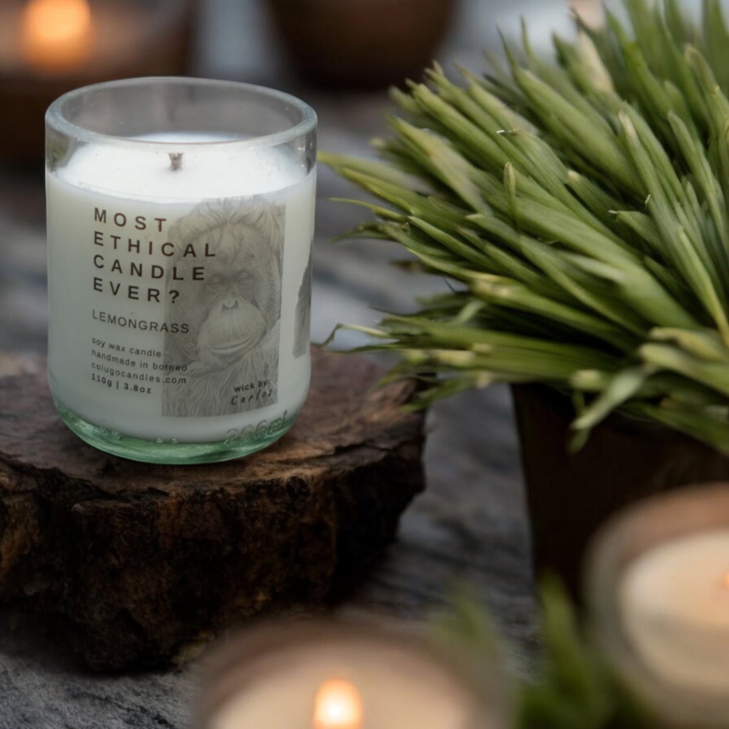 Most Ethical Candle Ever | Lemongrass by Colugo Candles