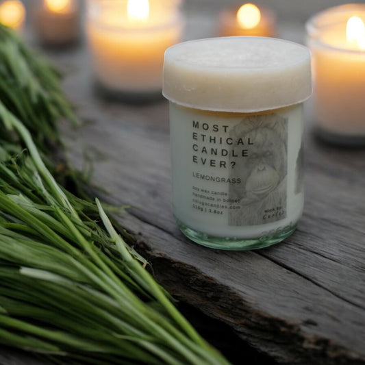 Most Ethical Candle Ever | Lemongrass by Colugo Candles