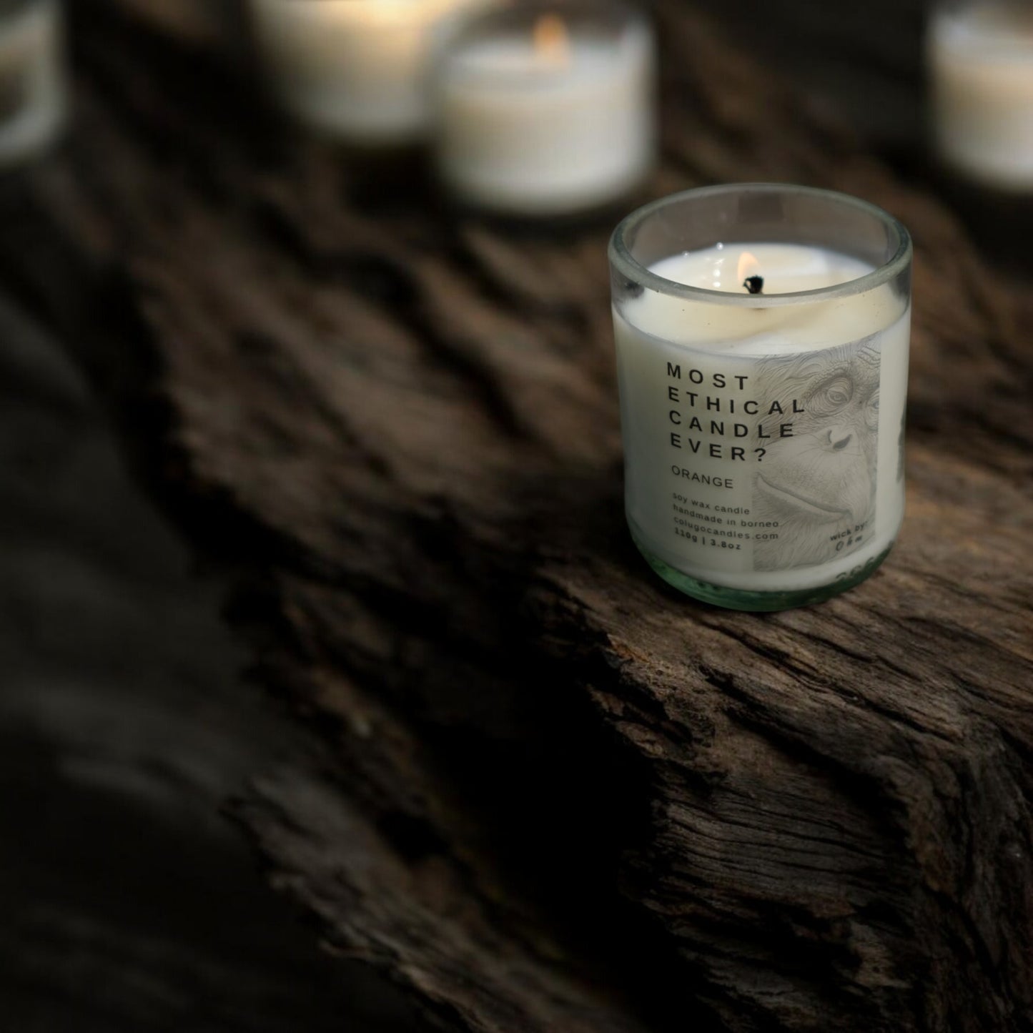 Most Ethical Candle Ever | Orange by Colugo Candles