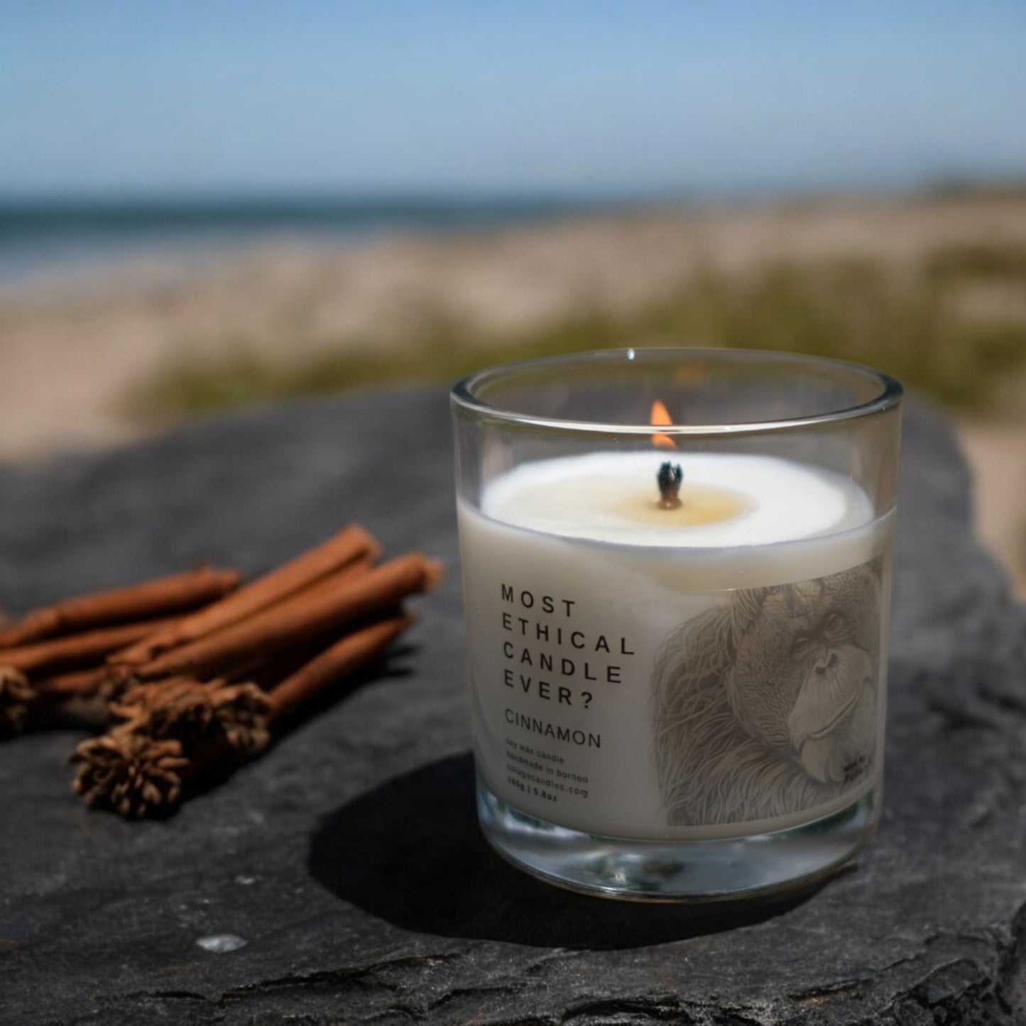 LUXE | Cinnamon Embrace by Colugo Candles