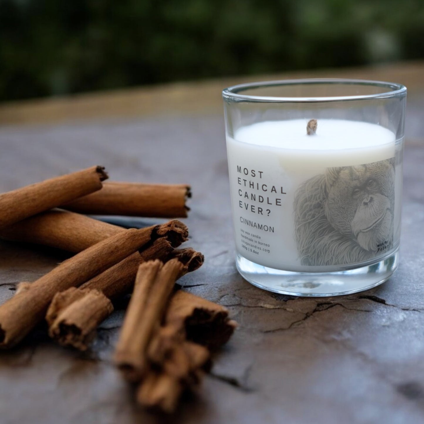 LUXE | Cinnamon Embrace by Colugo Candles