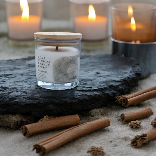 LUXE | Cinnamon Embrace by Colugo Candles