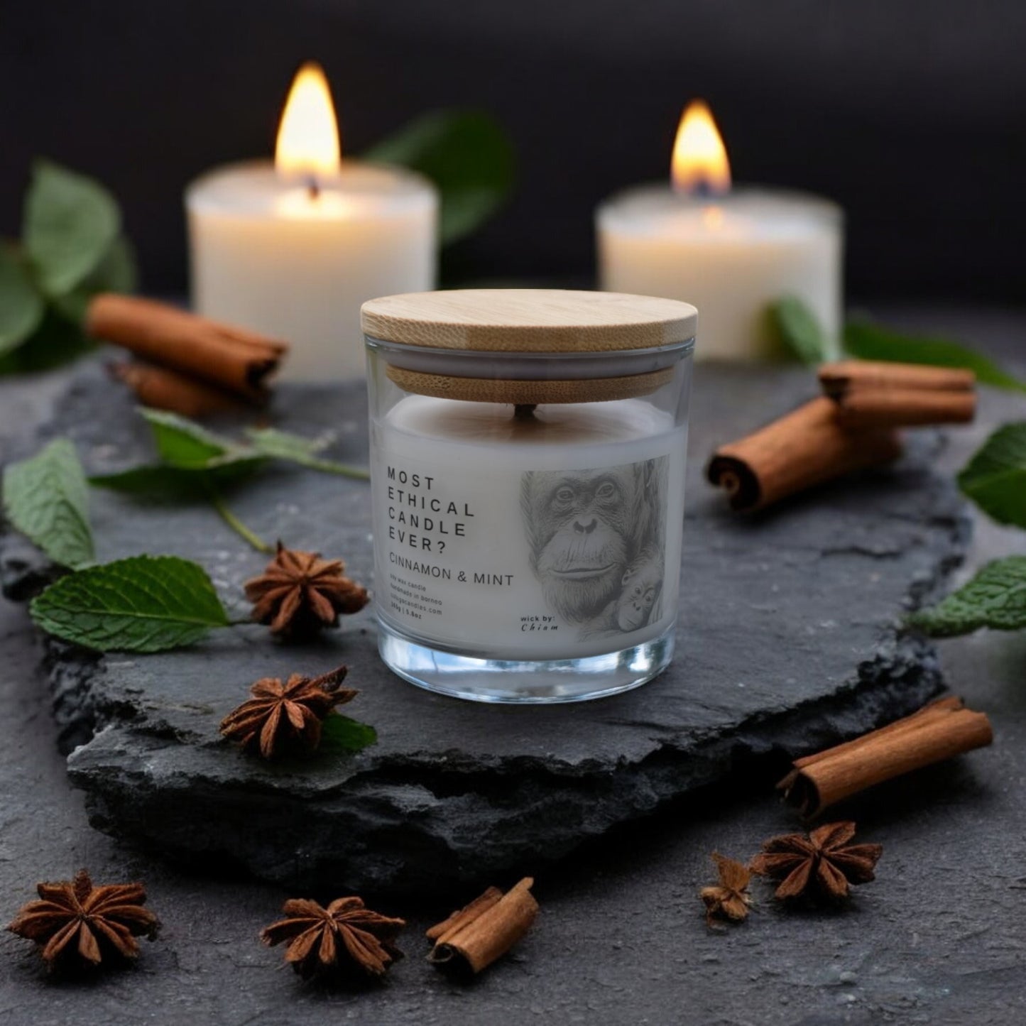 LUXE | Cinnamon & Mint Harmony by Colugo Candles