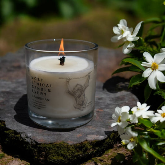 LUXE | Frangipani Whisper by Colugo Candles