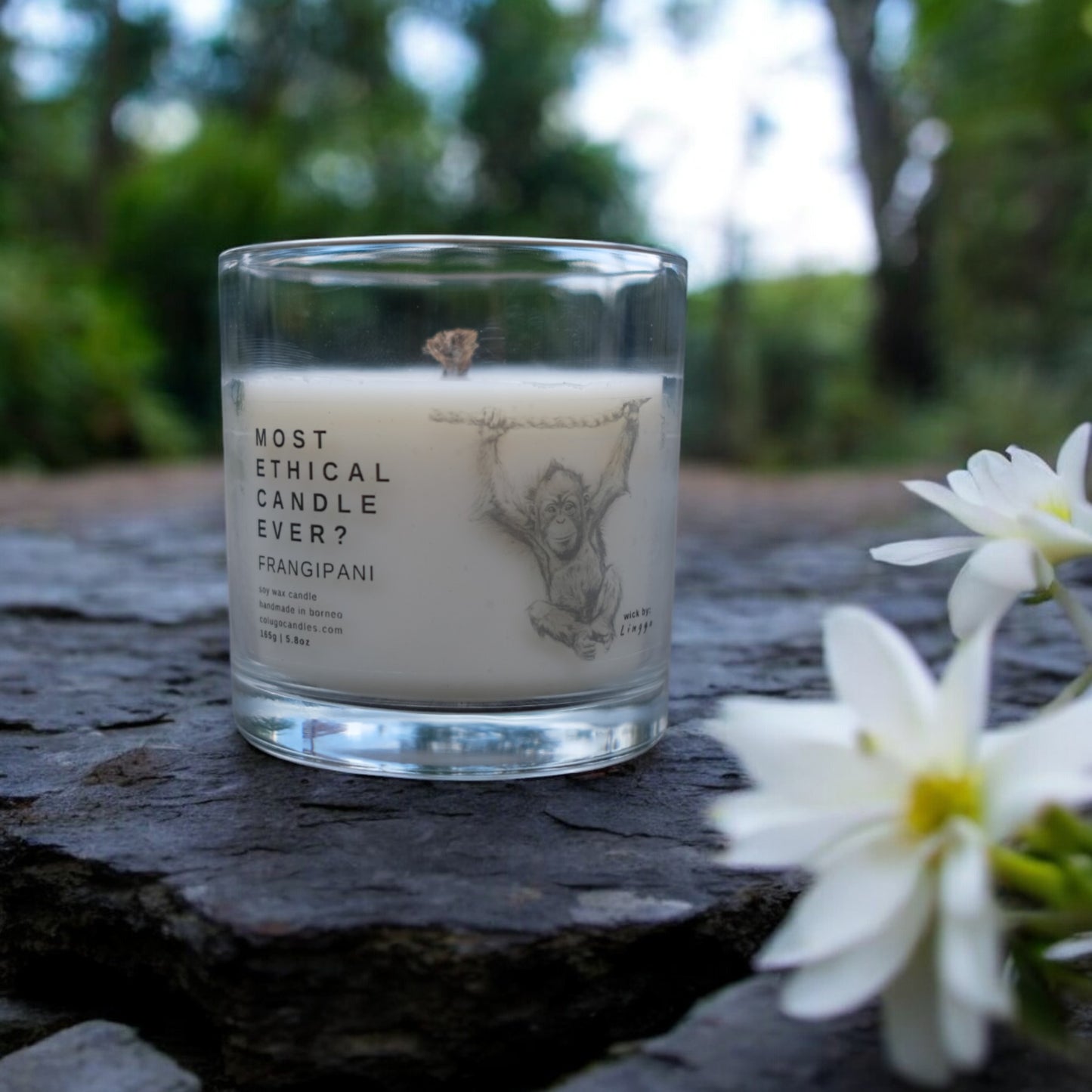 LUXE | Frangipani Whisper by Colugo Candles