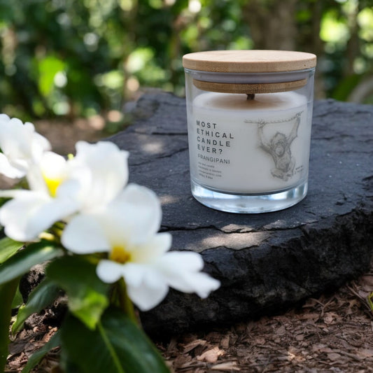 LUXE | Frangipani Whisper by Colugo Candles