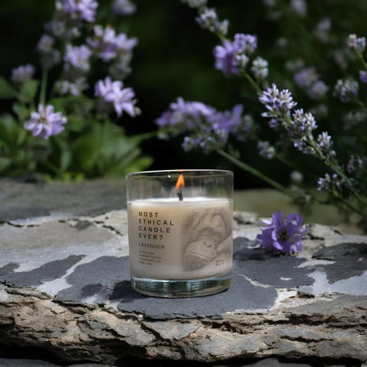 LUXE | Lavender Mist by Colugo Candles