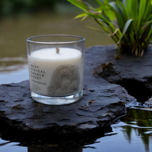 LUXE | Lemongrass Mist by Colugo Candles